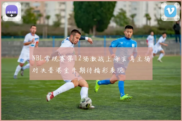 NBL常规赛第12场激战上海玄鸟主场对决香港金牛期待精彩表现