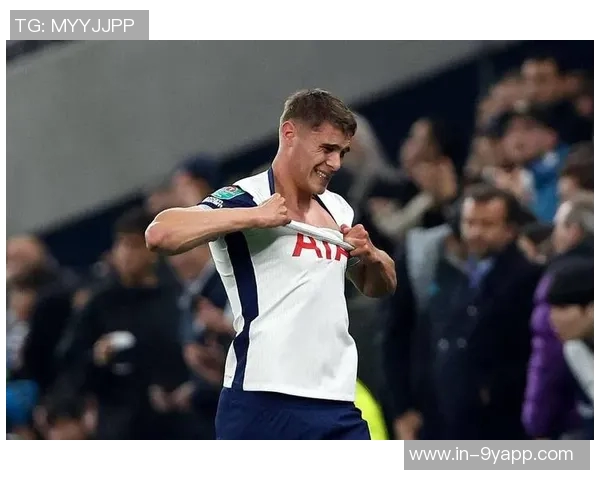 热刺更衣室缺乏领袖范德芬波罗心态不成熟陷入保级危机 热刺更衣室缺乏领袖范德芬波罗心态不成熟陷入保级危机