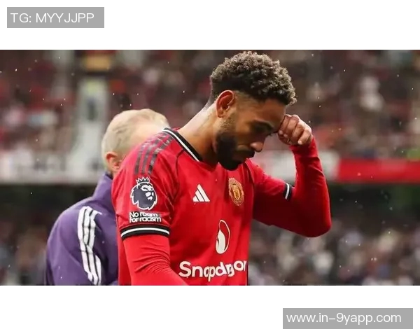 曼联欲引进安德森需筹集12亿镑或出售五名球员