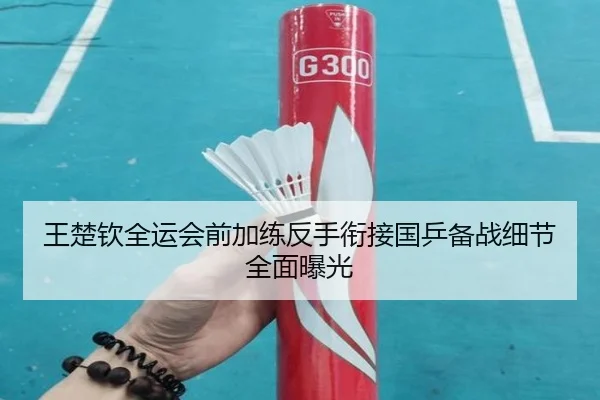 王楚钦全运会前加练反手衔接国乒备战细节全面曝光（jiuyou）
